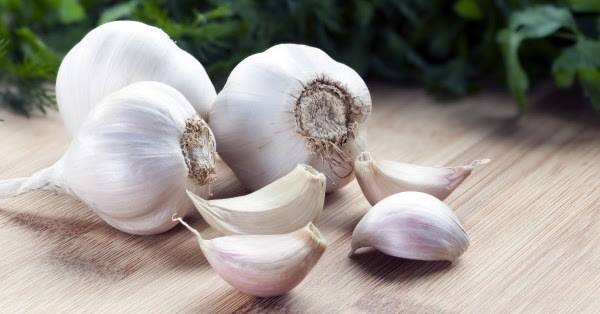 Тайните на чесъна