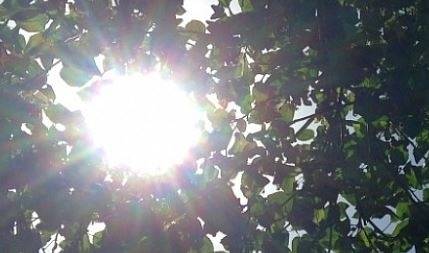 Днес слънчево и горещо с максимални температури между 29° и 34°