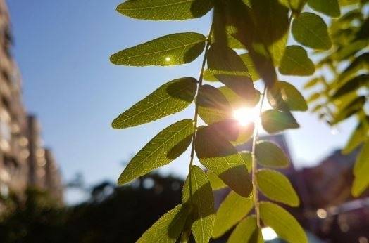 Днес слънчево с максимални температури между 27° и 32°