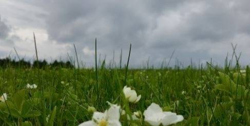 Днес облачно с максимални температури между 25° и 30°