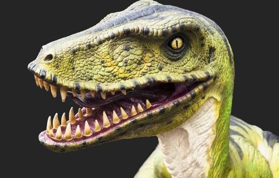 Откриха останки от мегараптор в Аржентина