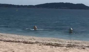 Французи се маскираха като шамандури, за да поплуват в морето (ВИДЕО)