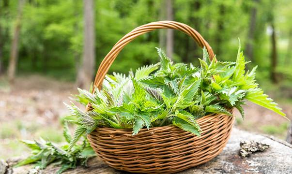 Как храната облекчава симптомите на поленовата алергия?