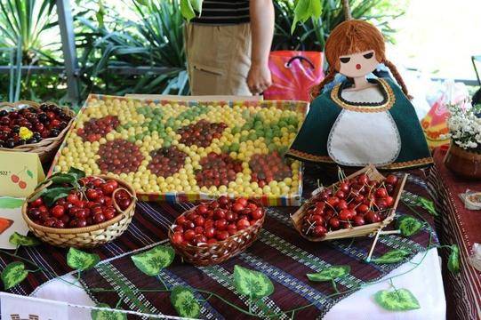 Празник на Черешата в гр. Кюстендил