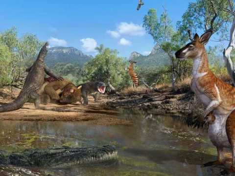 Първите австралийски заселници са живели редом с гигантски кенгурута и гущери с размерите на автомобил