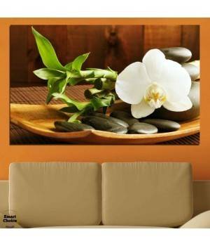 Декорация за стена