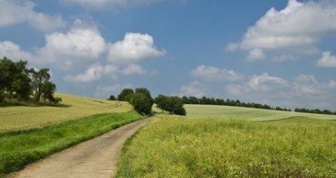 Днес слънчево, след обяд на места с валежи. Максималните температури ще са между 18° и 23°