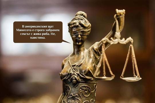 Шантави и смешни закони по света, но спазени