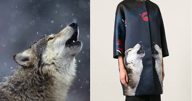 Кога не може да се използва снимка от интернет за създаване на модна колекция?