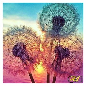 Диамантен гоблен ГЛУХАРЧЕТА