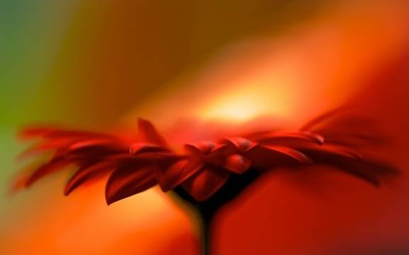 Дневен хороскоп за 13 юни 2020г. – Хороскопи за всяка зодия – народна медицина, здраве, астрология, съдби, секс и зодии