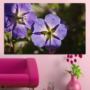 Картина пано за стена от 1 част с лятно градинско цвете – HD-718-1