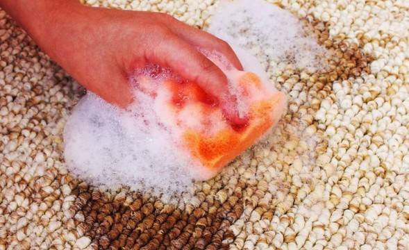 Упорити петна върху килима