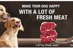 Platinum България Грижа за Домашния Любимец – Platinum България