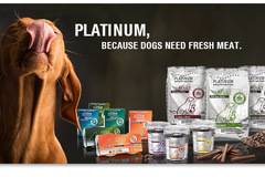 Platinum България