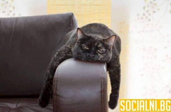 Какво не свърших докато си стоя вкъщи