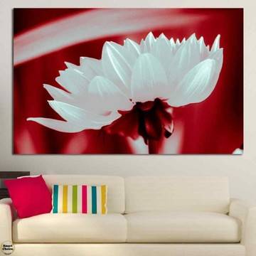 Картина пано за стена от 1 част – Бяла Хризантема – HD-504-1