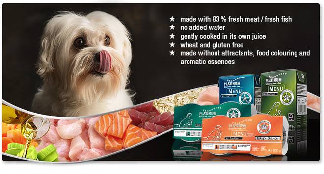 Platinum България