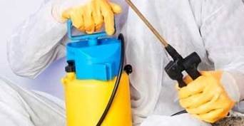 Защо да потърсим помощ от фирма за дератизация