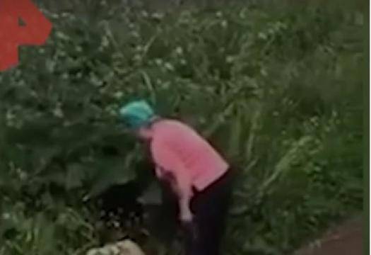 Екшън ВИДЕО 18 Пенсионерка бие двойка, правеща секс в храстите до дома й