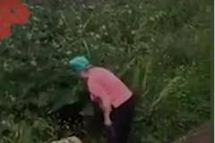 Екшън ВИДЕО 18 Пенсионерка бие двойка, правеща секс в храстите до дома й