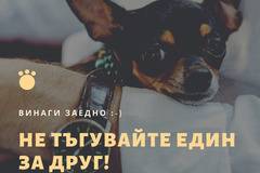 Изберете Удобен аксесоар за вашия малък любимец от Platinum България