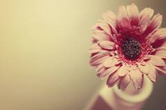 Часовник с марка Garmin