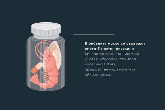 Всичко за омега 3 мастни киселини и здравето