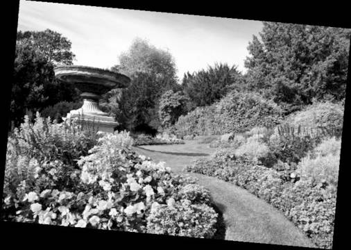 5 причини да засадим в двора си колкото се може повече дръвчета