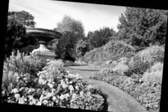 5 причини да засадим в двора си колкото се може повече дръвчета