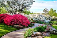 Искате да вдъхнете живот на терасата?