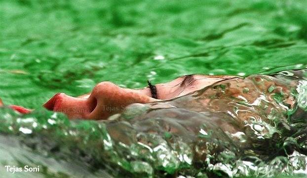 ОПАСНОСТИТЕ ОКОЛО РОЖДЕНИЯ ДЕН | | Езотерика и Битие