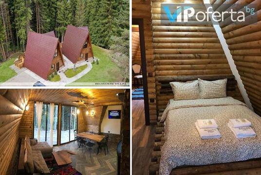 Наем на вила край язовир Доспат – Вили Белведере