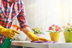 4 опасни комбинации при почистване