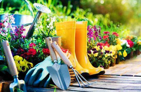 Озеленяване на двор