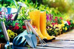 Озеленяване на двор