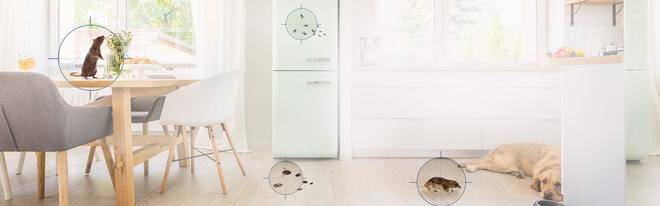 Дезинфекция, дезинсекция и дератизация