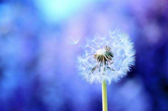 Дневен хороскоп за 26 август 2020г. – Хороскопи за всяка зодия – народна медицина, здраве, астрология, съдби, секс и зодии