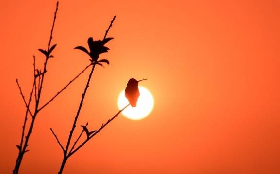 Дневен хороскоп за 03 септември 2020г. – Хороскопи за всяка зодия – народна медицина, здраве, астрология, съдби, секс и зодии