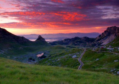 Имаме ли нужда от озеленител?