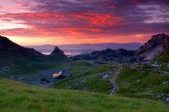 Имаме ли нужда от озеленител?