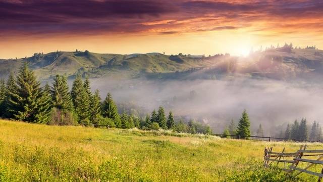 Дневен хороскоп за 17 септември 2020г. – Хороскопи за всяка зодия – народна медицина, здраве, астрология, съдби, секс и зодии