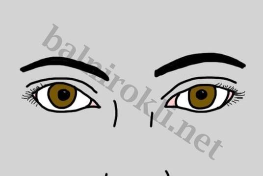 Какво Разкрива Формата на Веждите за Една Жена