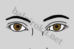 Какво Разкрива Формата на Веждите за Една Жена