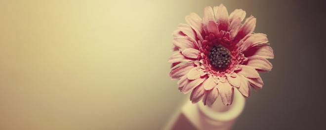 Какво трябва да знаете за цената на гражданската