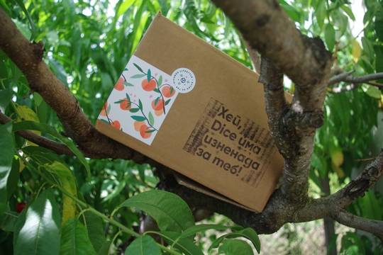 Лайфстайл кутия Dice Box “Крадецът на праскови”