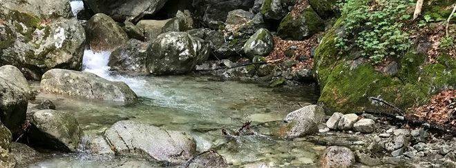 Размиг Чакърян