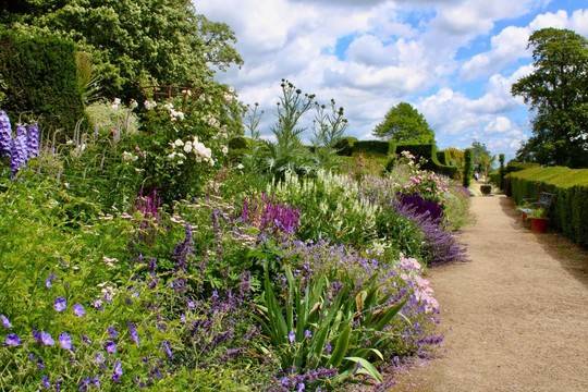 Грижа за тревата и инструменти