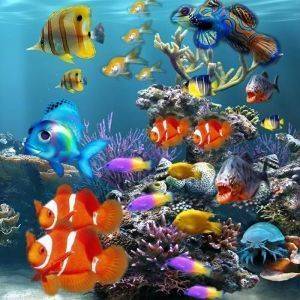 Превърнете аквариума си в прелестен дизайнерски елемент от интериора с LED осветление