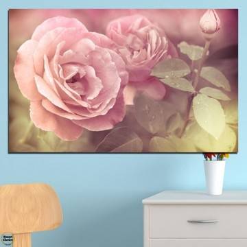Картина пано за стена от 1 част със свежа утринна роза – HD-140-1
